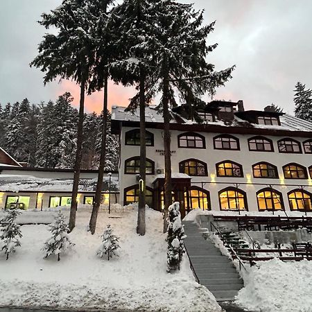 Cerbul Chalet Accommodation & Wellness Râşnov Exterior photo