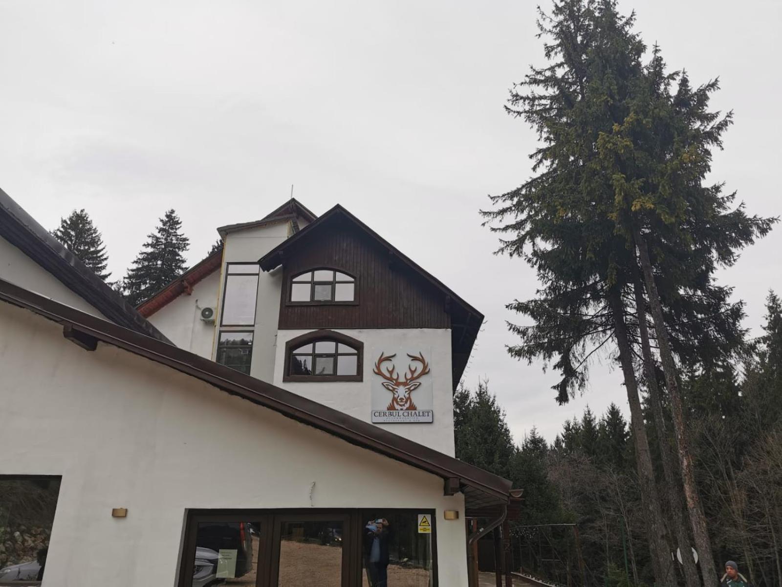 Cerbul Chalet Accommodation & Wellness Râşnov Exterior photo