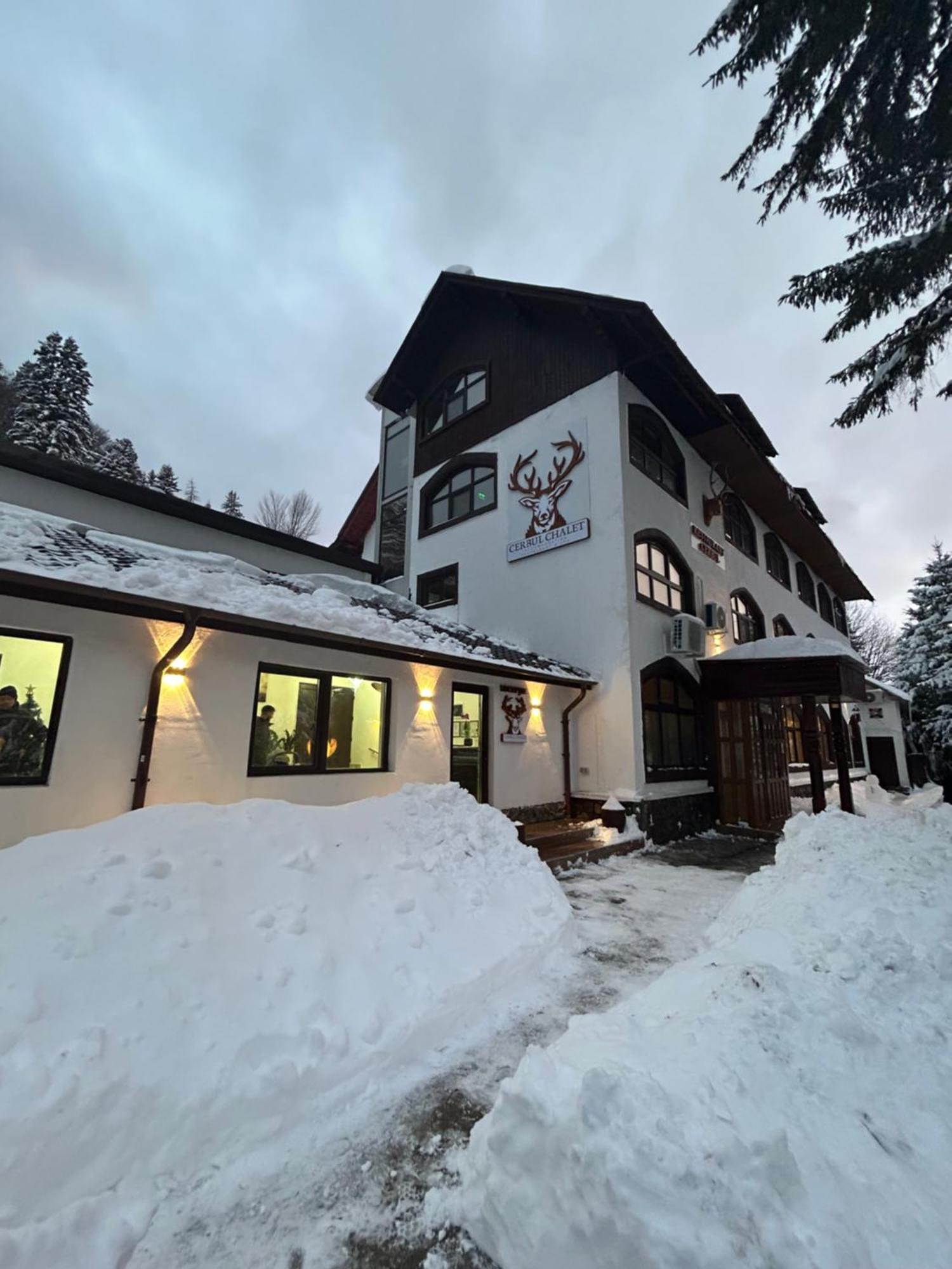Cerbul Chalet Accommodation & Wellness Râşnov Exterior photo