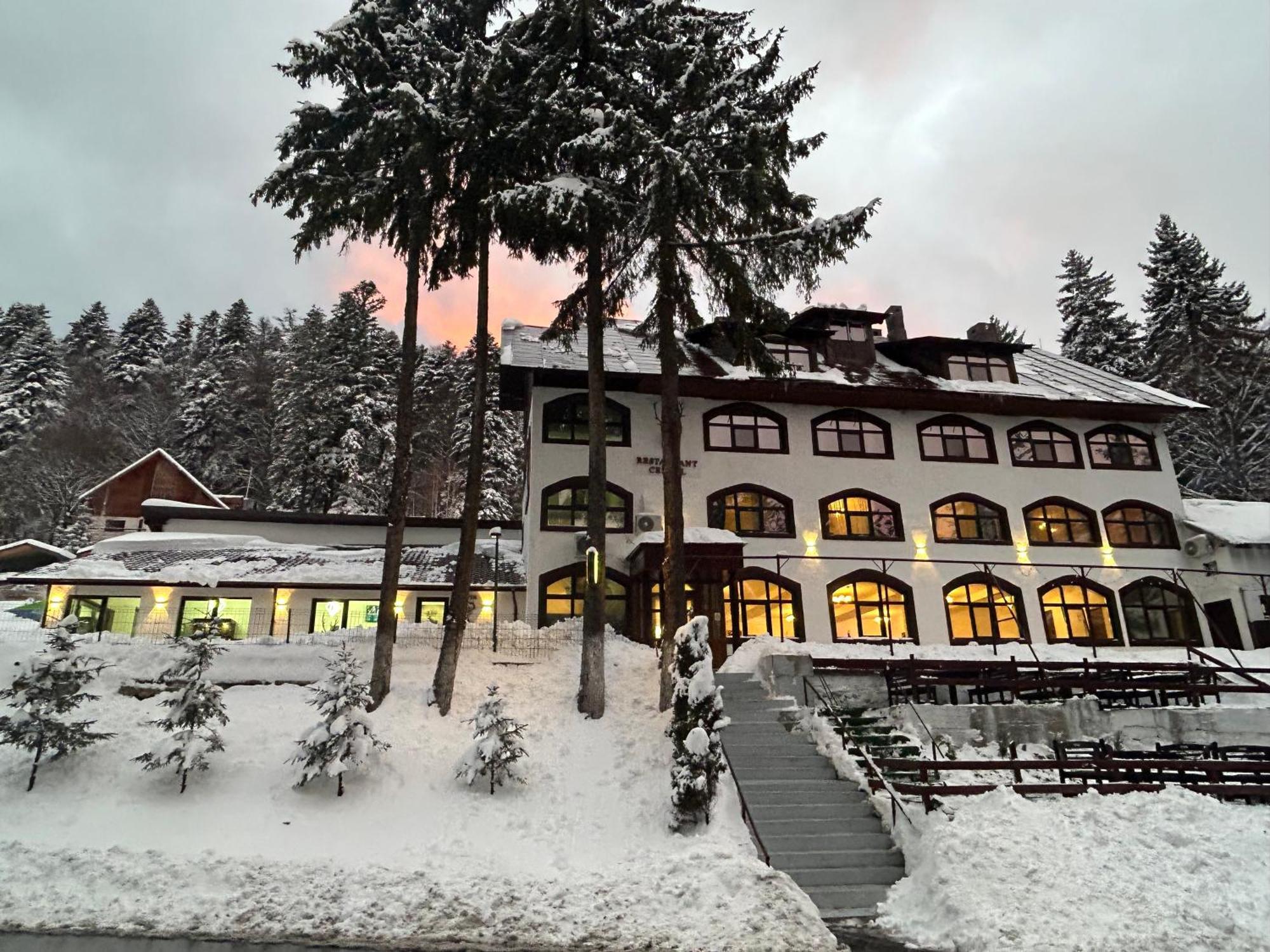 Cerbul Chalet Accommodation & Wellness Râşnov Exterior photo