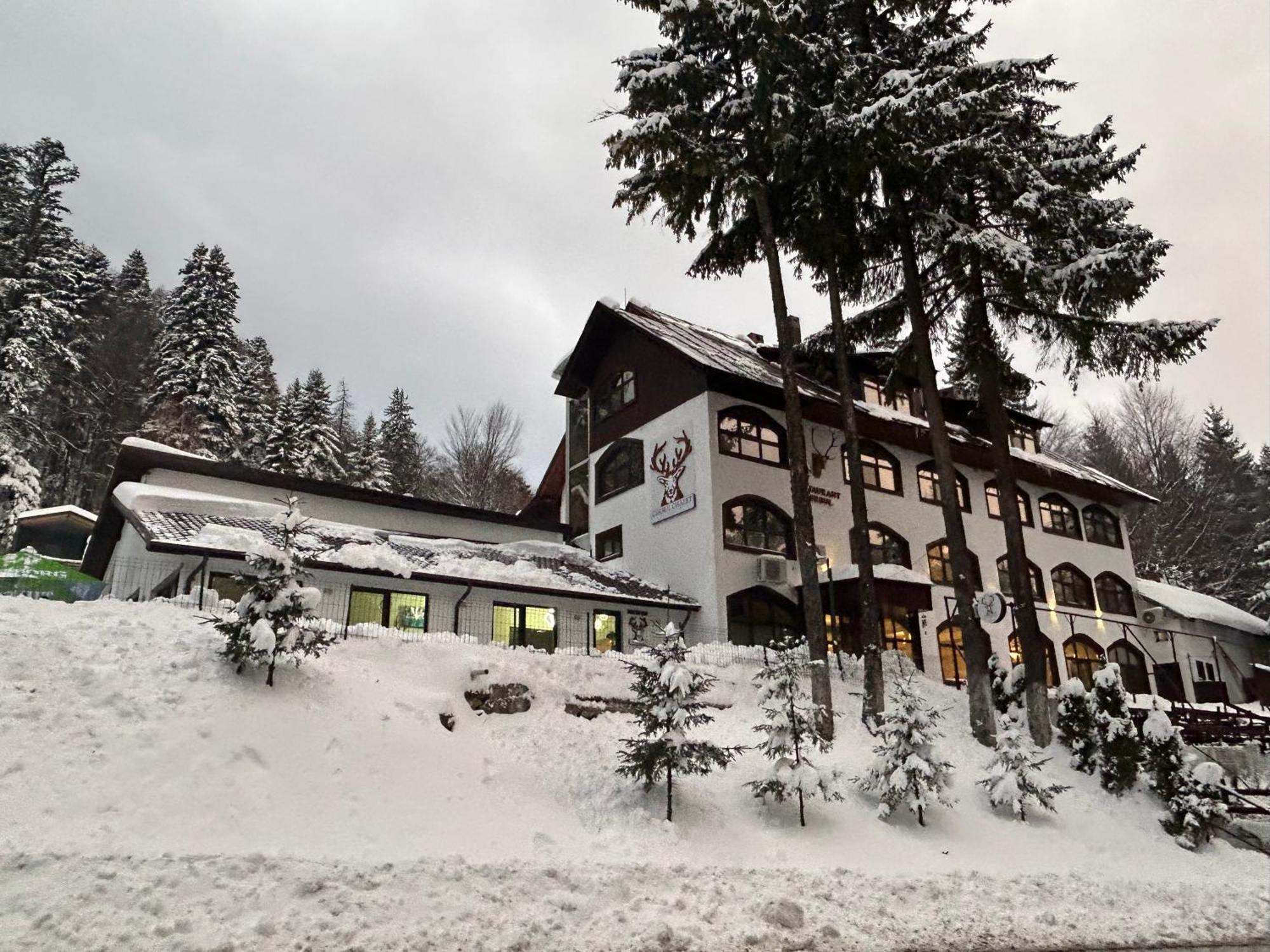 Cerbul Chalet Accommodation & Wellness Râşnov Exterior photo
